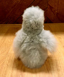 Stuffed Alpaca Animals: Penguins - Homunculus
