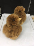 Alpaca Stuffed Animals: Chicks - Homunculus